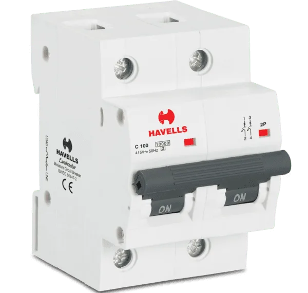 Havells Higher Rating MCB 'C' Series DP 100A