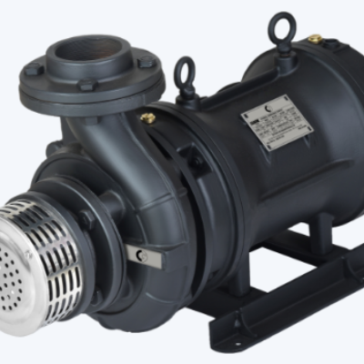 CG Agricultural Openwell Pump CGAOW03NA