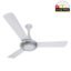 Shop Tornado breezalit ceiling fans prices