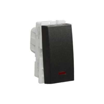 Signia 20 A DP Switch with Indicator Grey